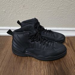 Jordan 12s