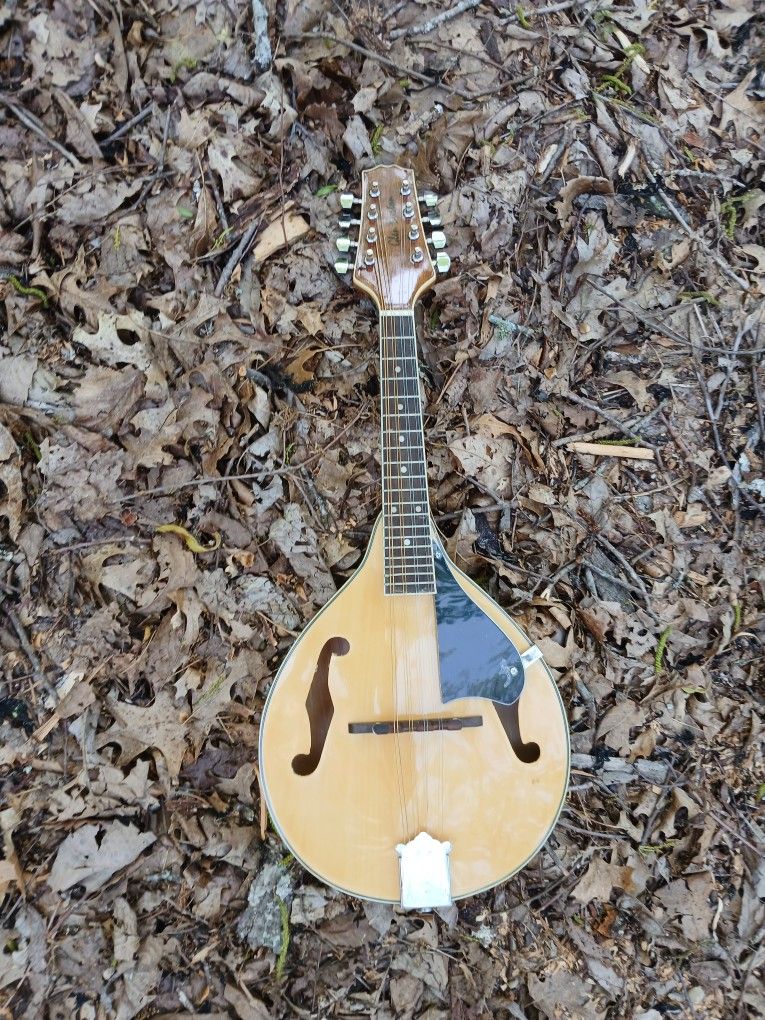 Brand New Mandolin 