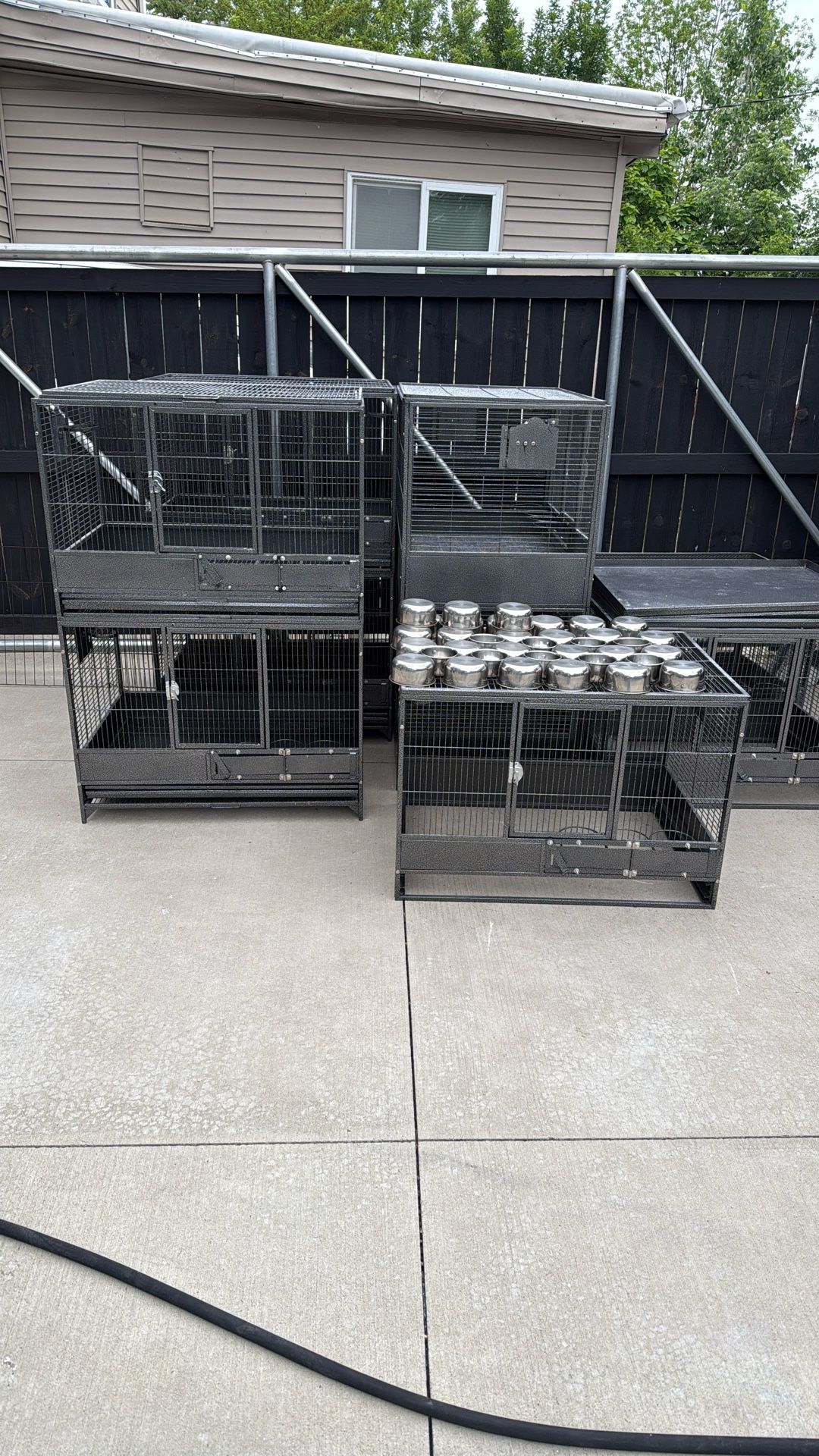 Bird Cage
