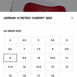 Jordan 12 Size 9 DS