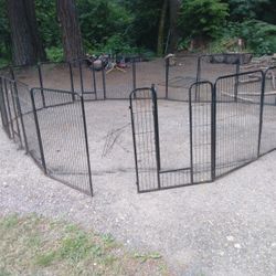 Kennel
