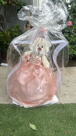 Teddy Bear in Pink Quinceañera Gown Gift Set