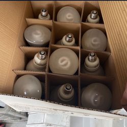 Philips Light Bulbs