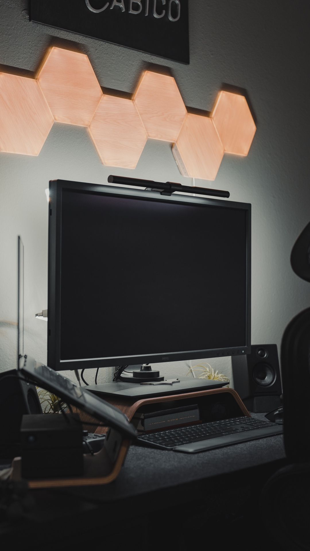 BenQ SW321C