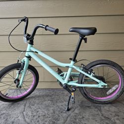 Guardian Bike For Ages 4-6 Years