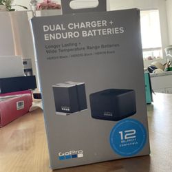 Dual Charger + Enduro Batteries 