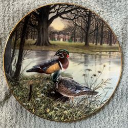 āThe Wood Duckā Duck Plate