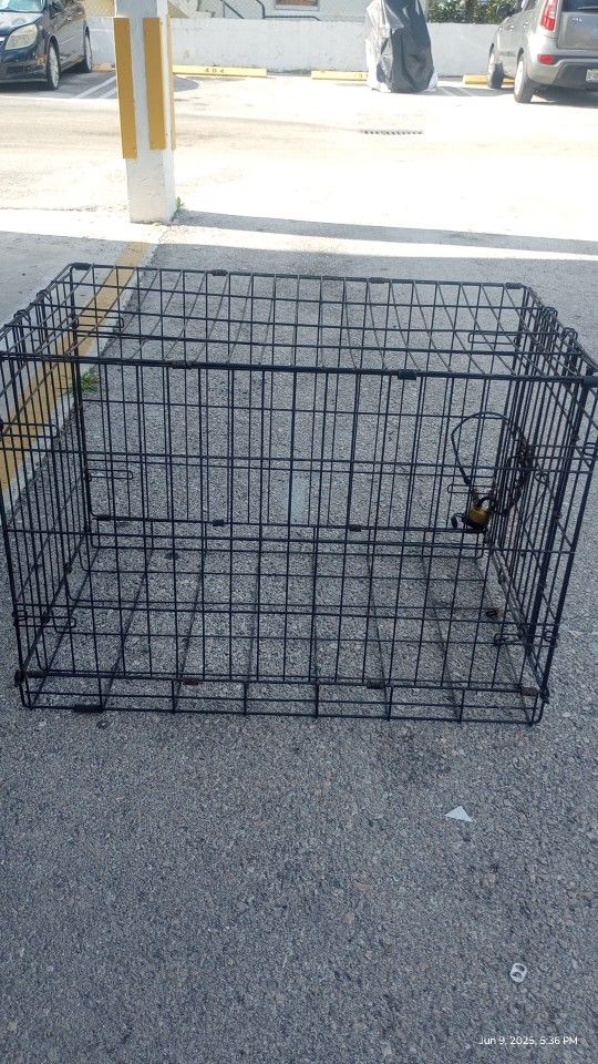 Jaula/ Cage