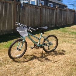 20 Inch Huffy Girls Bike
