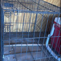 Dog   Cage Small And Big 20.00 Each