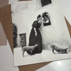 Photograph Print 