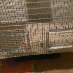 Jaulas  24x24. & 36x23