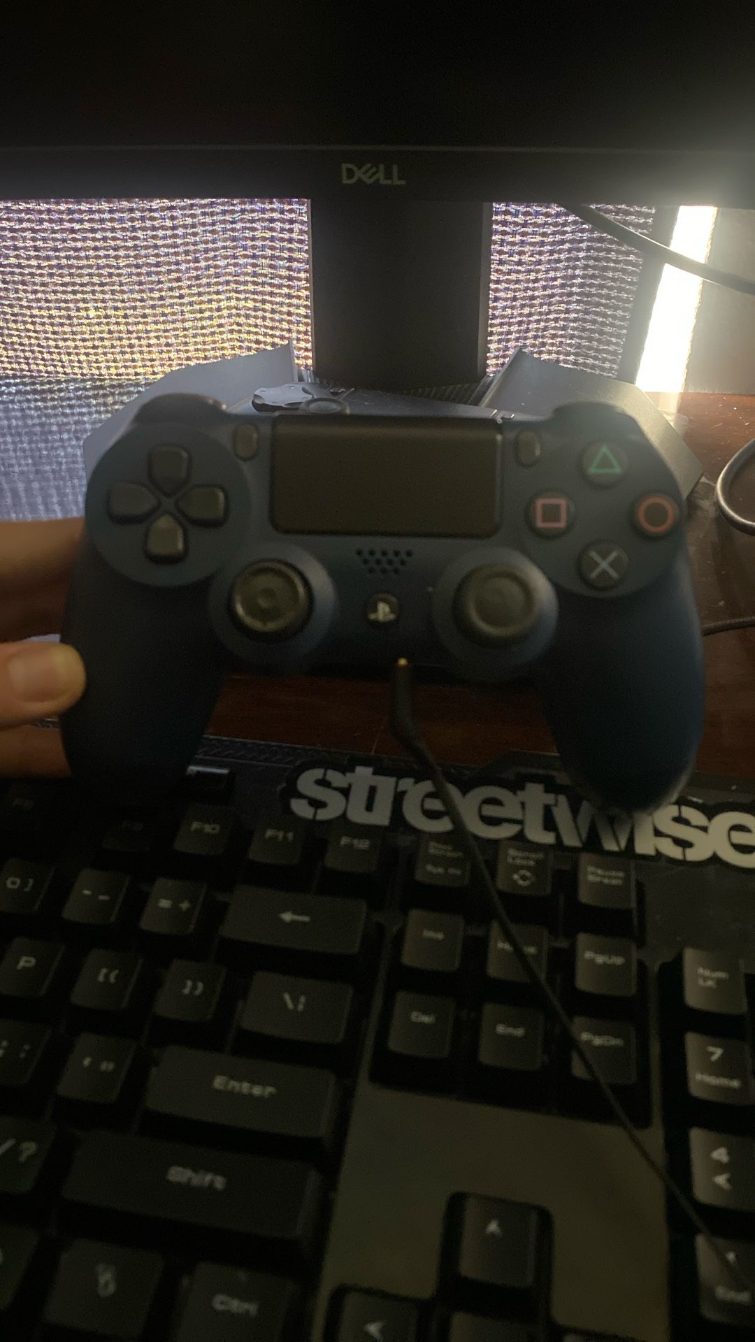 PS4 Controller 