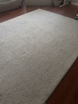 Area Rug