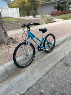 Schwinn High Plains 24” wheels w/suspension