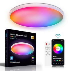 smart Ceiling Light