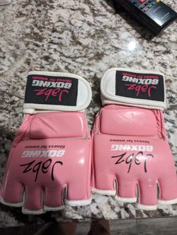 Jabz Kickboxing Gloves 