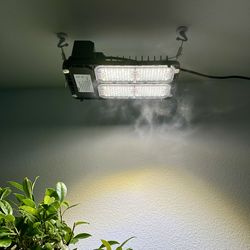 Sansi 100w Full Spectrum Grow Light
