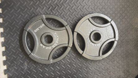 2x 25lb weight plates