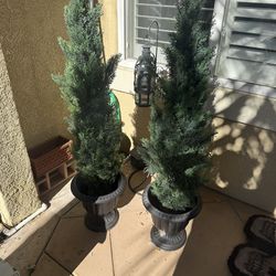 Faux Tree (2) And Pots