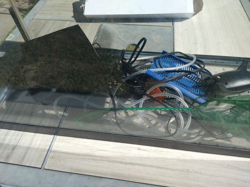 Fish Tank