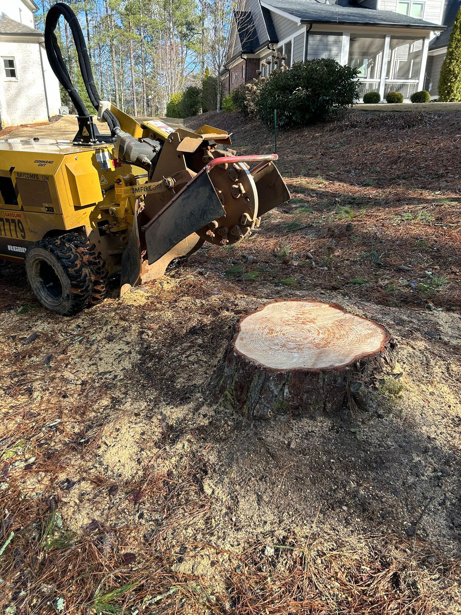 Stump Grinding