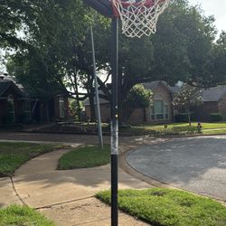 Lifetime Basketball Hoop