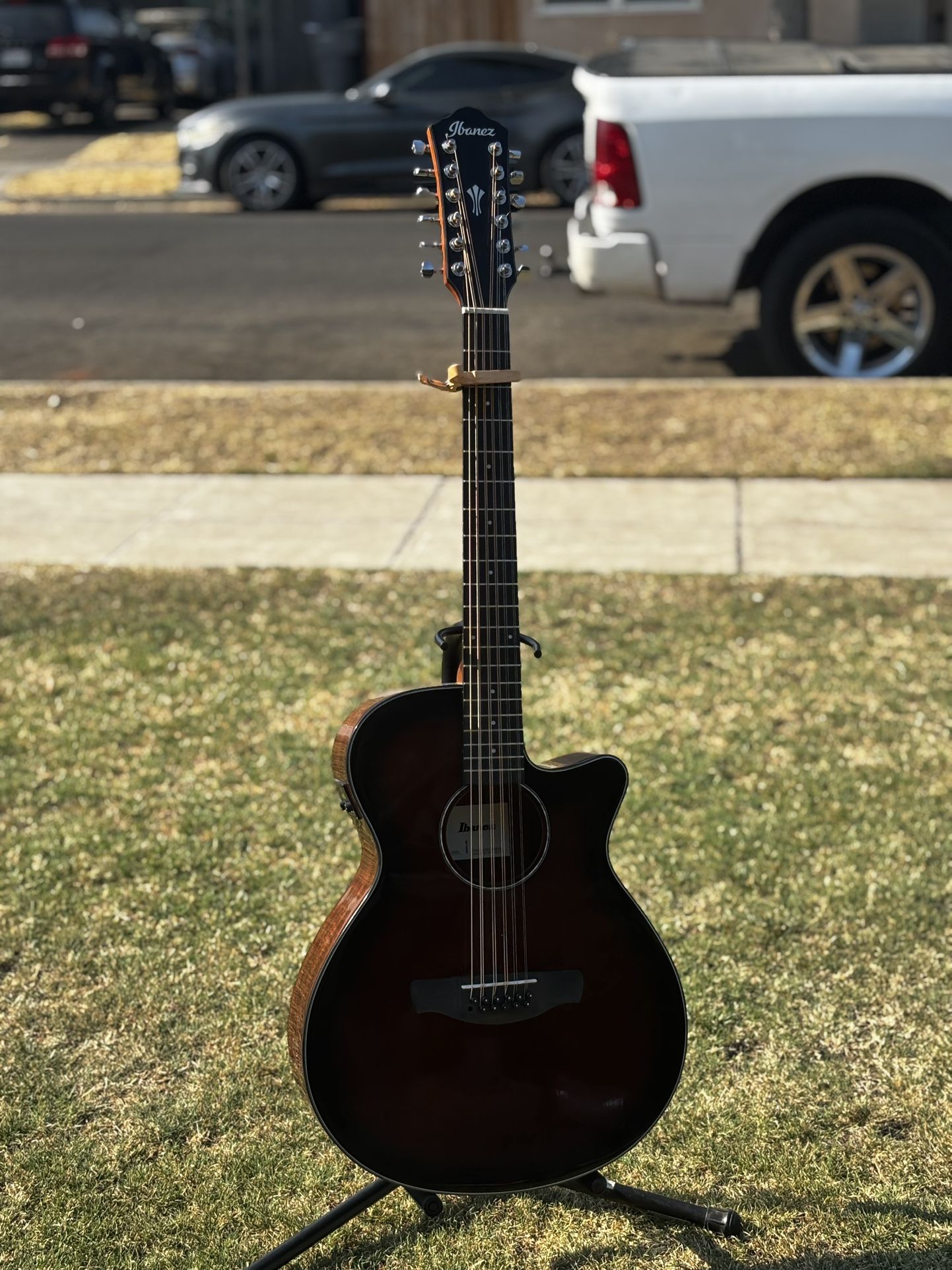 Ibanez 12 String