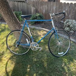 Vintage Schwinn Traveler XL