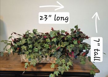 Artificial Ivy in Wicker Basket