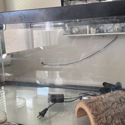 40 gallon tank terrarium