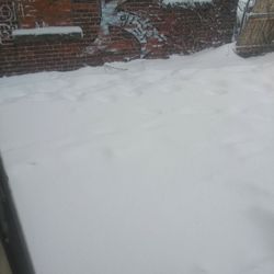 Snow Shoveling