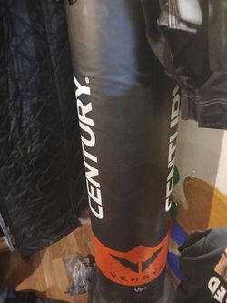 Century standing punching bag