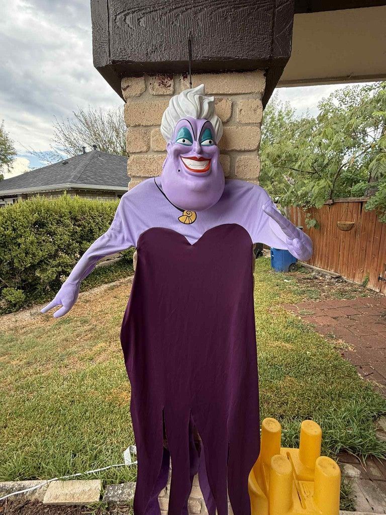 Halloween Decorations Bought It Never Used
