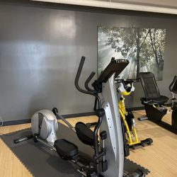 TRUE Elliptical Z-Series