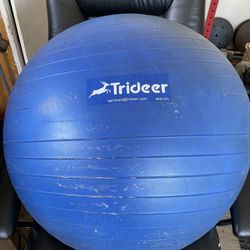 Large Exercise Ball