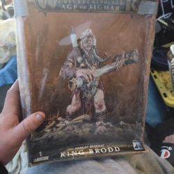 WARHAMMER  King Brodd 