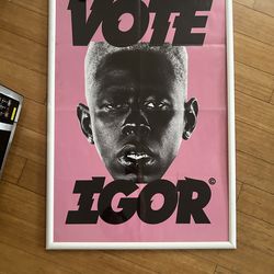 Tyler the creator Igor Poster in frame