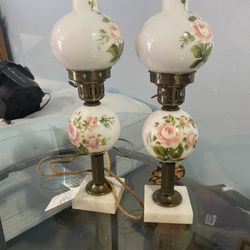 Vintage Floral electric  Lamps