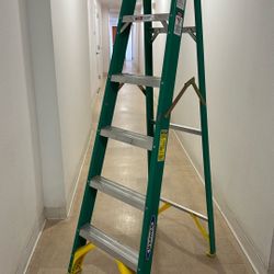 Werner 6’ Ladder