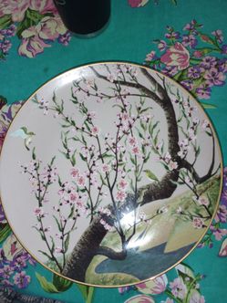 Collector hand painted Chinese plates