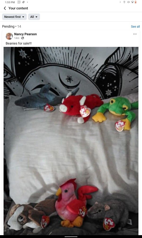 Beanie Babies For Sale!!!