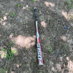 Bat