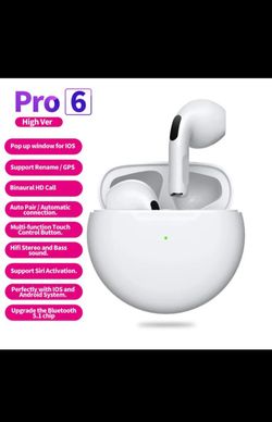 Ear Pro 6