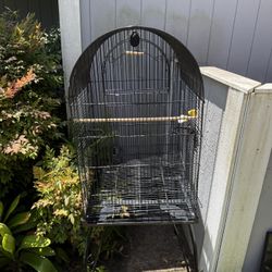 Bird Cage