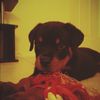Tony