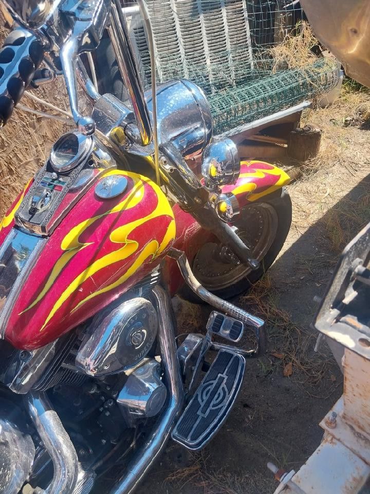 1994 Harley-Davidson Softail