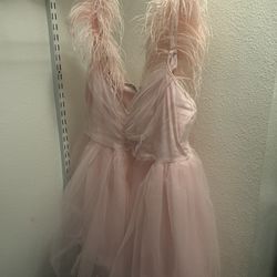 2xl Brand New Fashion Nova Dress Never Opened