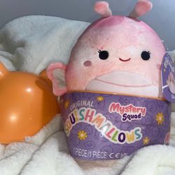 Squishmallow- Mystery Squad