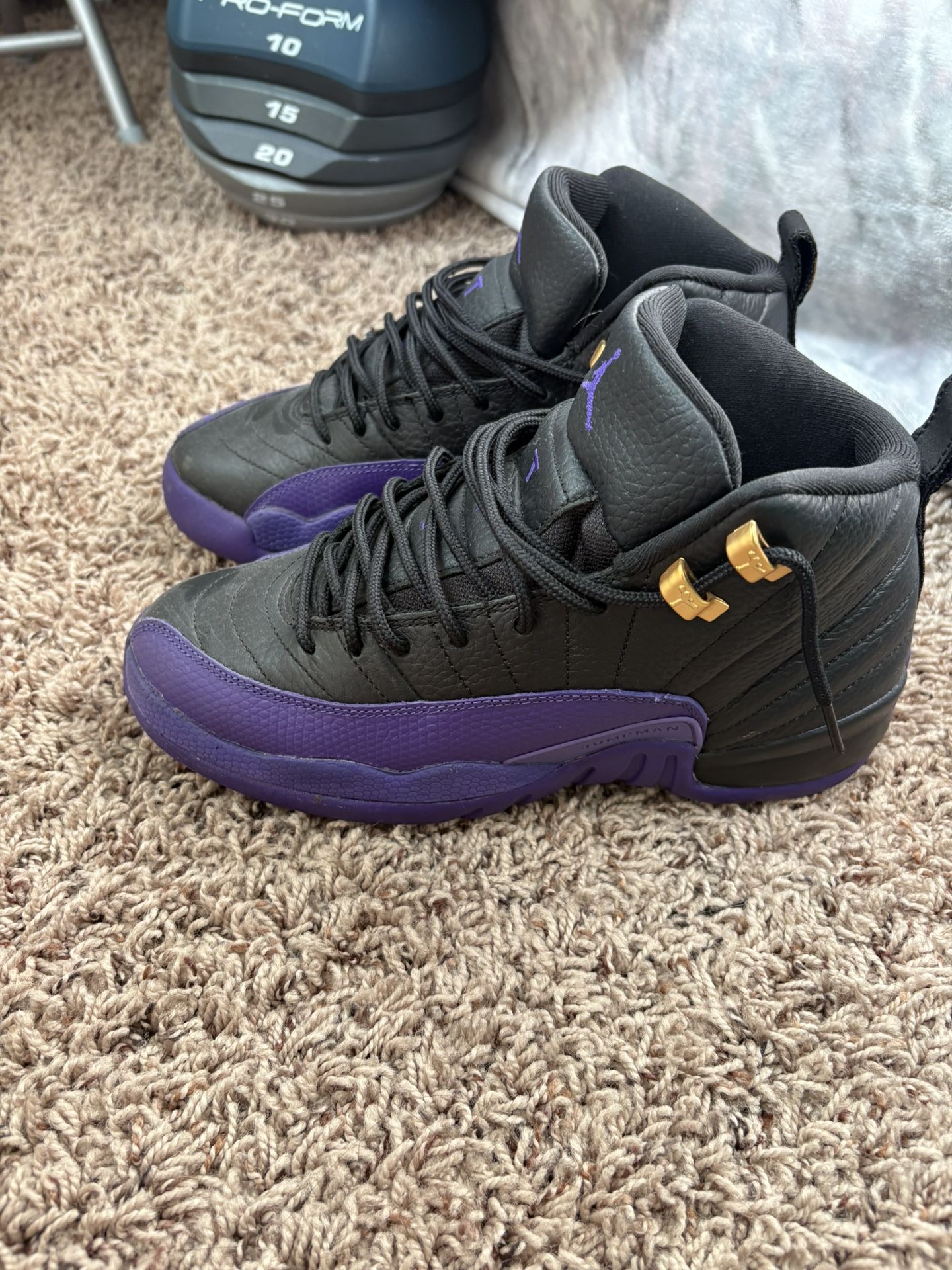 Jordan 12 Field Purple
